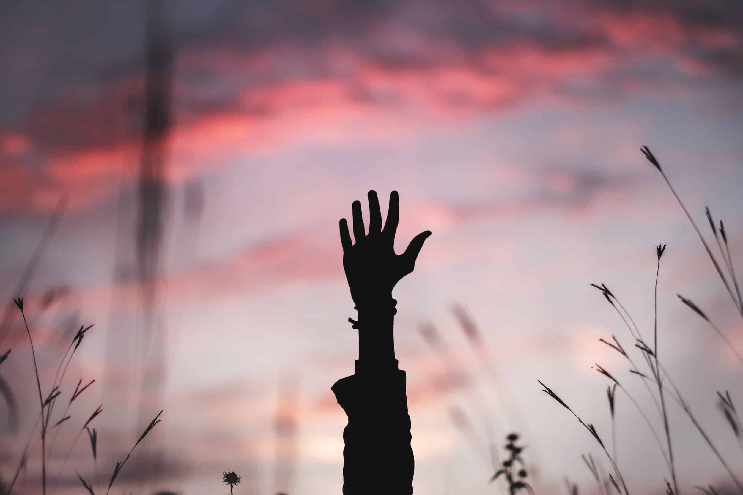 Somatic Gratitude: A Practice with the Hands