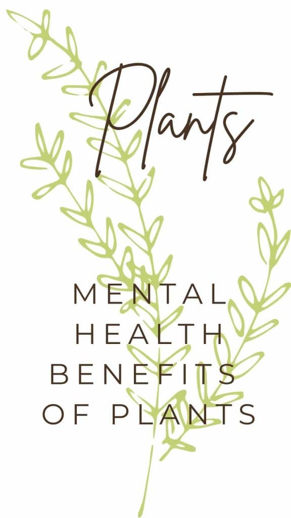 Mental Health Benefits of Plants-2