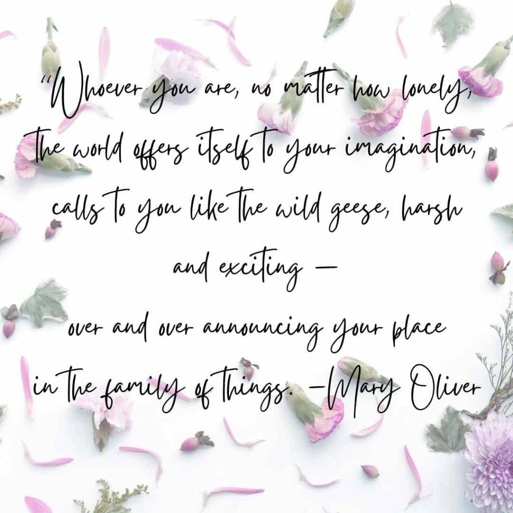 Mary Oliver quote