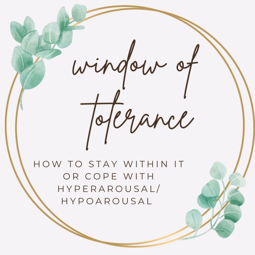 window of tolerance and arousal states