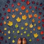 San Francisco therapy for adjusting and transitions