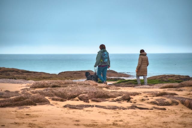 Two people walking a dog on a rocky Bay Area beach, illustrating mindful movement and grounding.