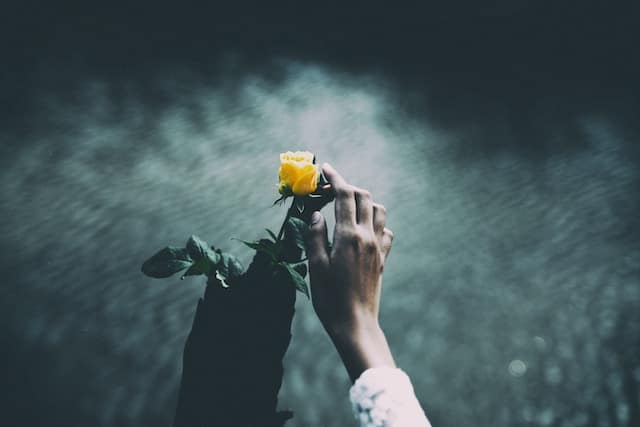 Two hands gently holding a yellow rose over rippling dark water, symbolizing hope and new beginnings