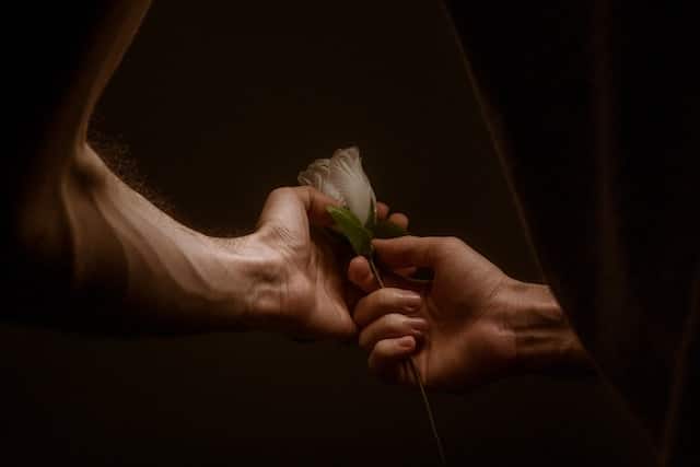 Two hands gently exchanging a delicate white flower against a dark background with soft dramatic lighting