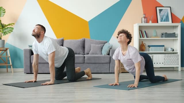 Two people practicing cat-cow yoga pose on exercise mats in bright living room with colorful geometric wall art