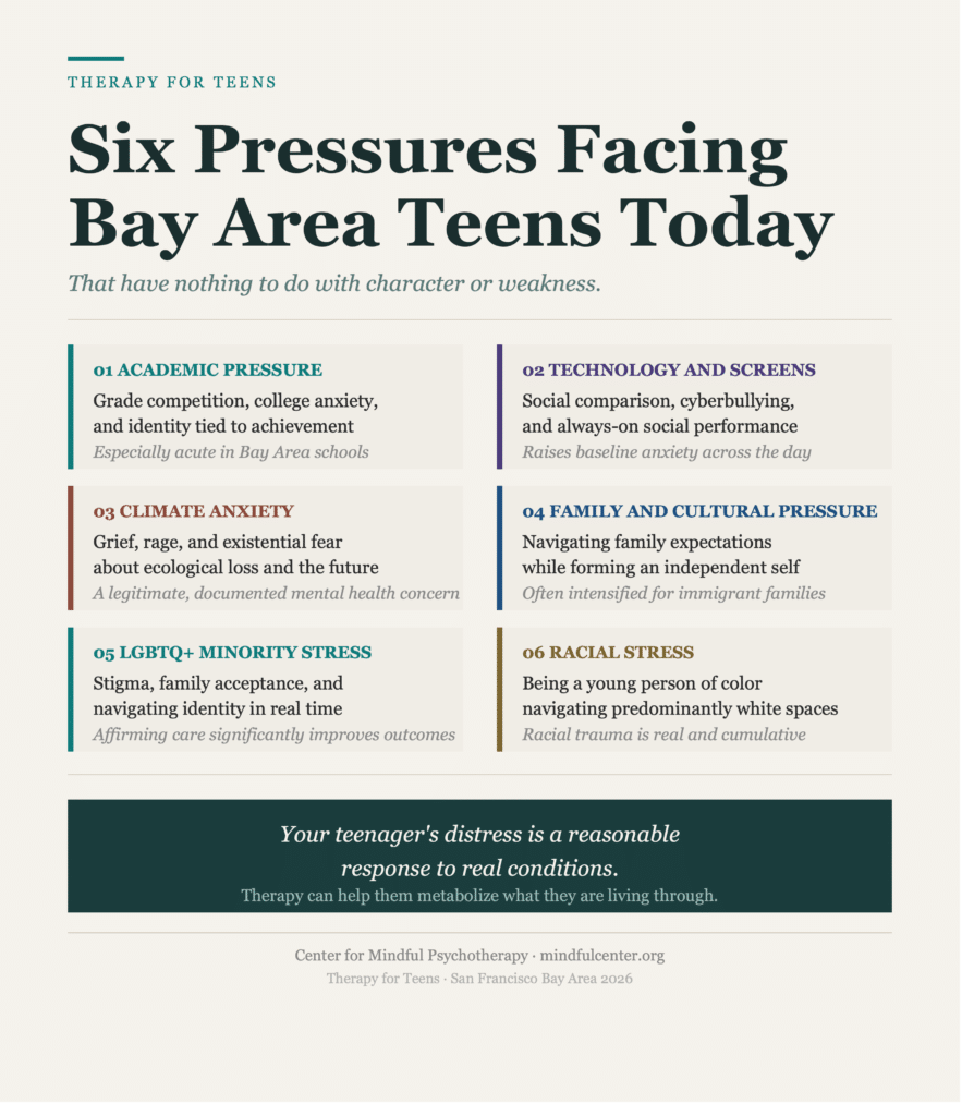 Six-card editorial infographic showing the specific pressures facing teenagers in the San Francisco Bay Area: academic competition, technology and social comparison, climate anxiety, family and cultural pressure, LGBTQ plus minority stress, and racial stress.