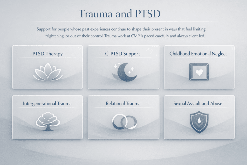 Icon grid showing six trauma therapy specialties at Center for Mindful Therapy: PTSD Therapy, C-PTSD Support, Childhood Emotional Neglect, Intergenerational Trauma, Relational Trauma, and Sexual Assault and Abuse.