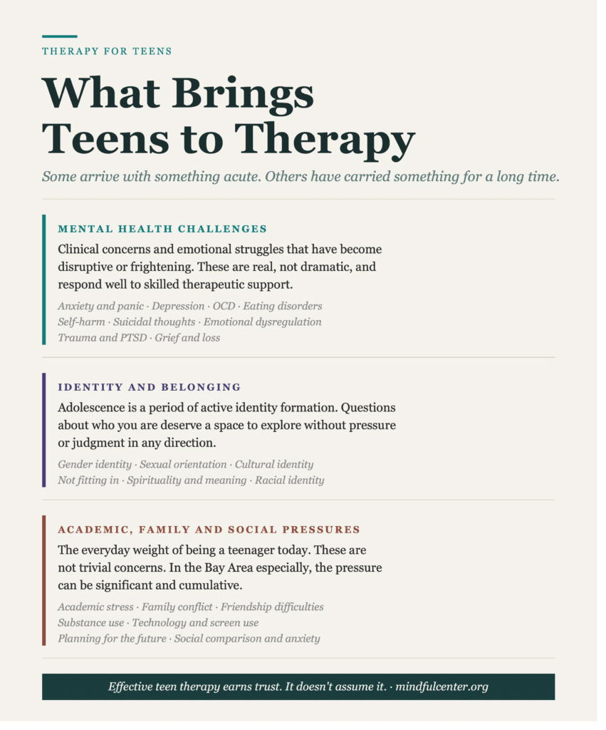 Three-section editorial infographic showing what brings teenagers to therapy at Center for Mindful Psychotherapy: mental health challenges including anxiety and depression, identity and belonging questions, and academic family and social pressures. SEO Description: An editorial infographic showing the range of concerns that bring