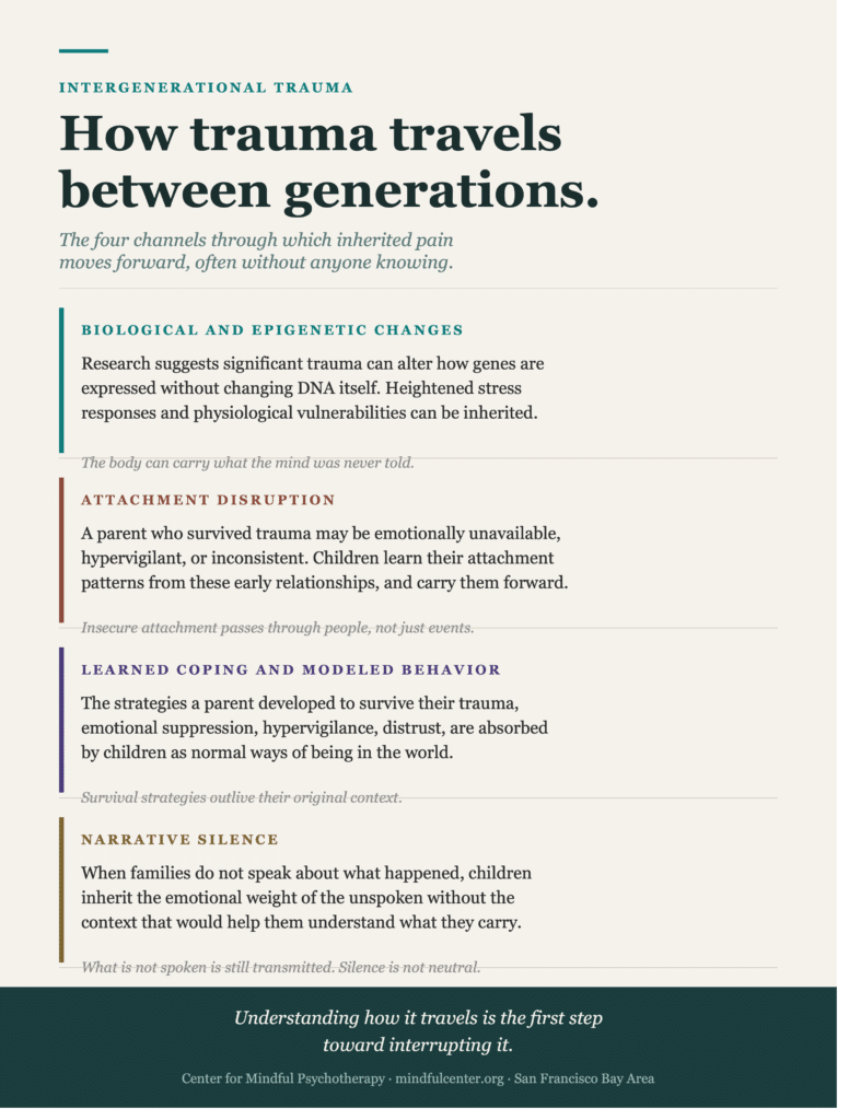 Vertical infographic explaining the four transmission channels of intergenerational trauma: epigenetic changes, attachment disruption, learned coping behaviors, and narrative silence.