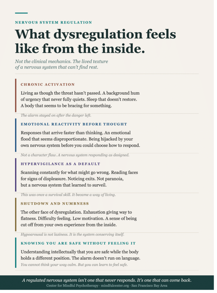 Vertical infographic describing the felt interior experience of nervous system dysregulation including chronic activation, emotional reactivity before thought, hypervigilance, shutdown and numbness, and the gap between knowing you are safe and feeling it.