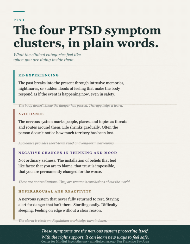 Vertical infographic translating the four clinical PTSD symptom clusters into plain language describing the felt experience of re-experiencing, avoidance, negative changes in thinking and mood, and hyperarousal.